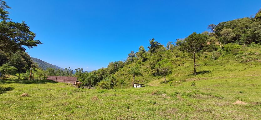 Colina, pastagem e casa
