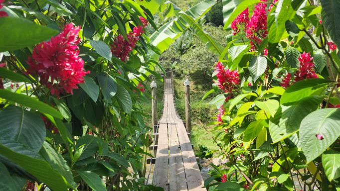 PONTE PARA PASTAGEM E POMAR DO SITIO