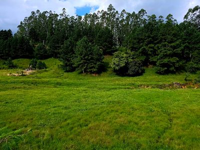 Area plana com pastagem