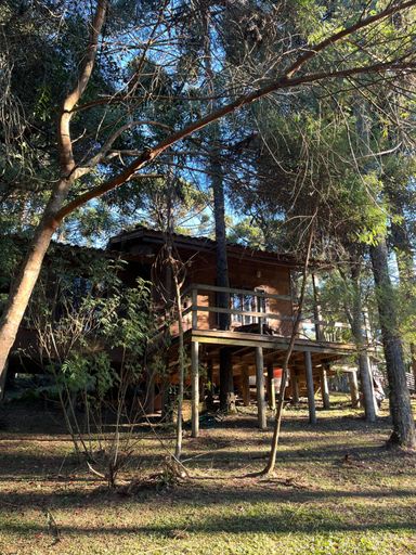 CABA E LINDAS ÁRVORES