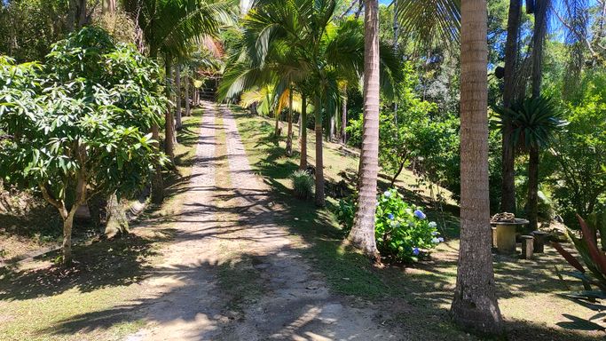LINDAS PALMEIRAS DA ENTRADA