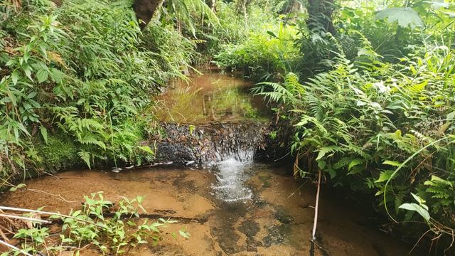 AGUA CRISTALINA RIACHO