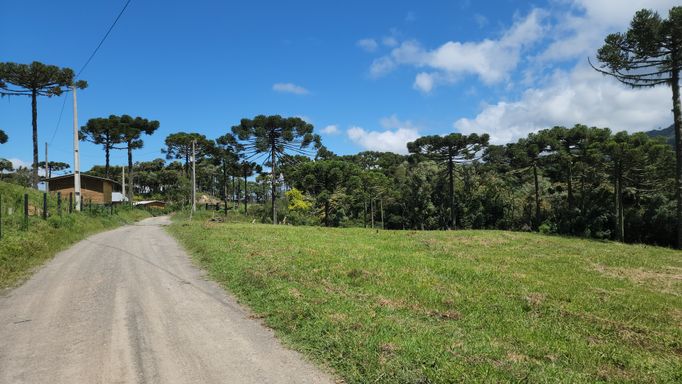 ESTTRADA  BOA E ARAUCARIAS