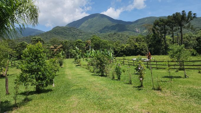 POMAR E HORA E VISTA PARA AS COLINAS