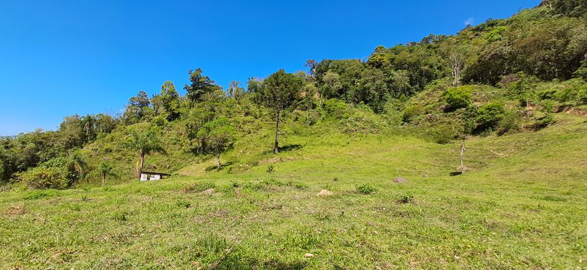 Colina com pastagens, árvores e a casa