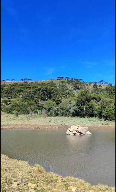 ACUDE E NATUREZA