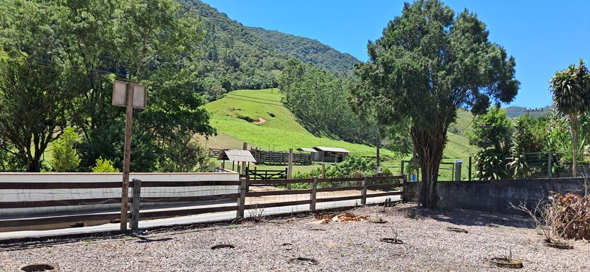 Linda vista para a natureza