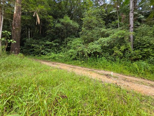 Estrada de acesso ao sitio