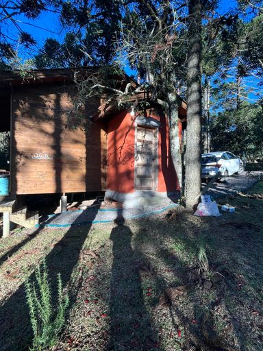 CABANA E LINDAS ARAUCARIAS