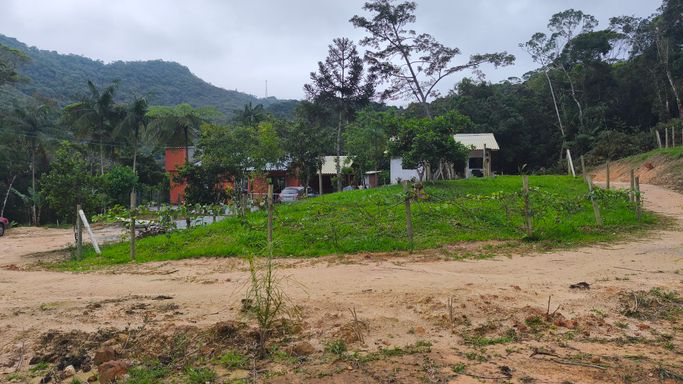 Casas e área verde