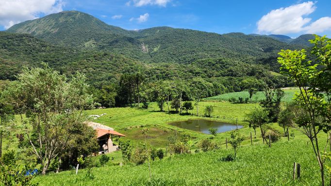VISTA PARA AS MONTANHAS VERDES