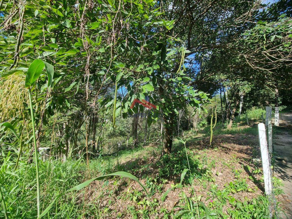 Terreno à venda, 794m² - Foto 3