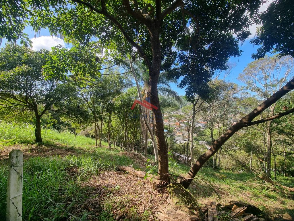 Terreno à venda, 794m² - Foto 6