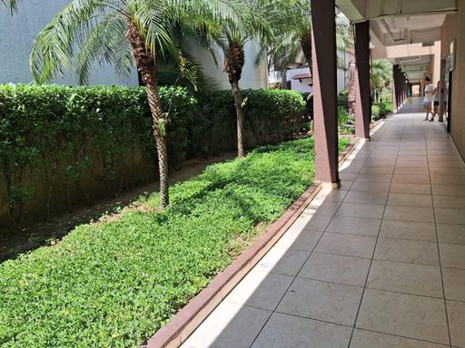 Muito verde