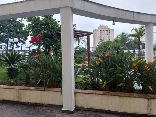 Jardim