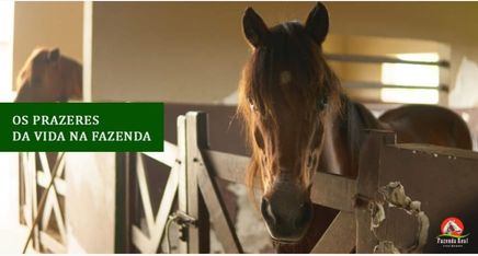 Condomínio Fazenda Real