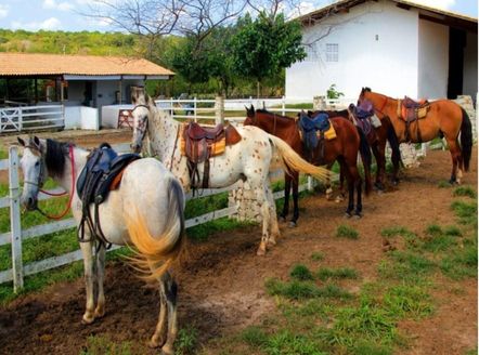 Condomínio Fazenda Real estábulo