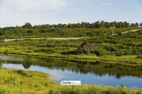 Terreno, 1184 m² - Foto 6