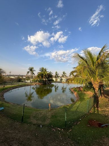Damha - Lago