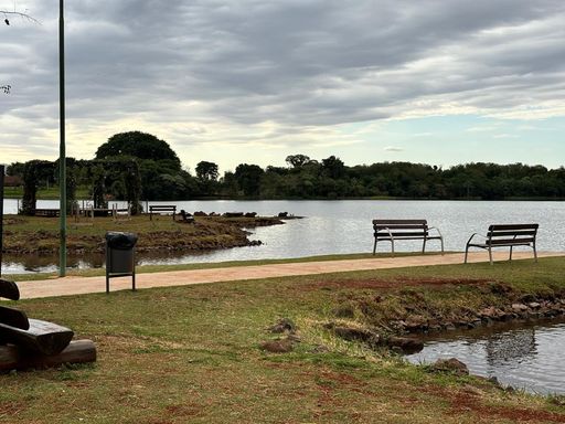 Lago todo natural (fauna e flora)