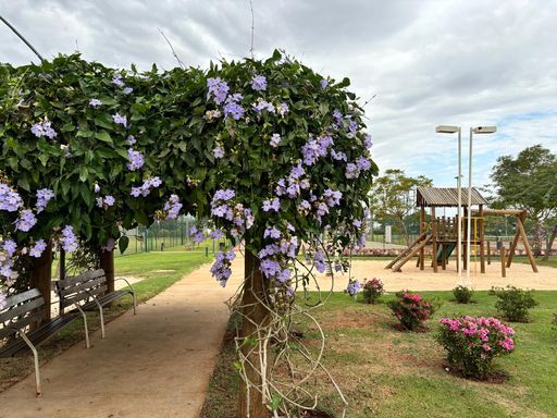 Enquanto as crianças brincam vc descansa em lugar acolhedor
