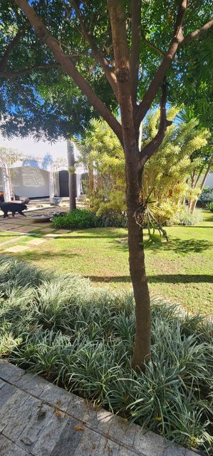 jardins