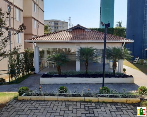 Foto 07