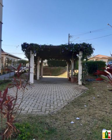 Foto 23