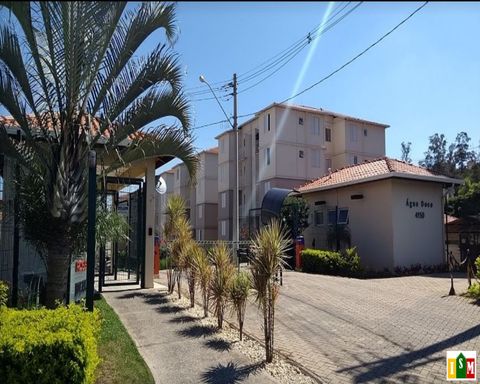 Foto 02