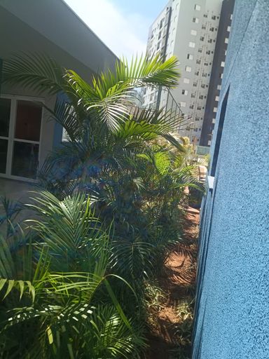 Área comum