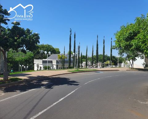 Foto 05