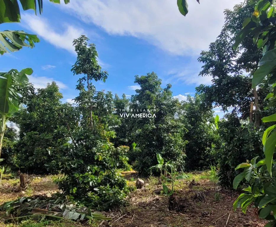Sítio Produtivo em Monte Mor, 44.500m² casa 02 dormitórios, boa localização.