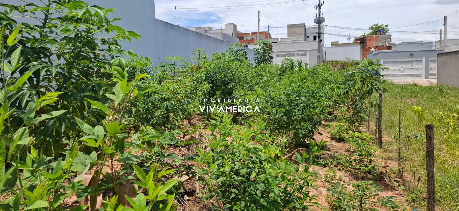 Terreno/Lote