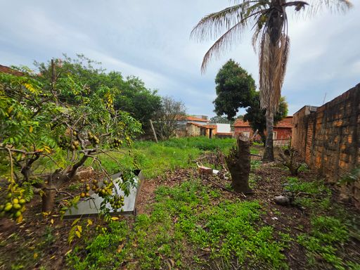 quintal fundos