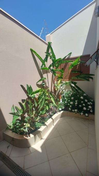 jardim inverno