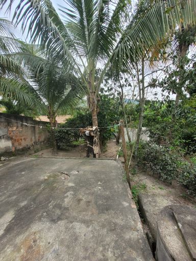 Área Verde