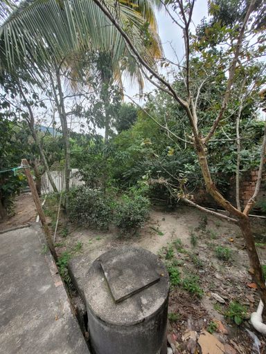 Área verde