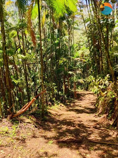 ÓTIMO INVESTIMENTO + MUITA NATUREZA