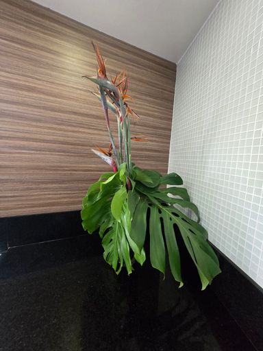 detalhe de bom gosto