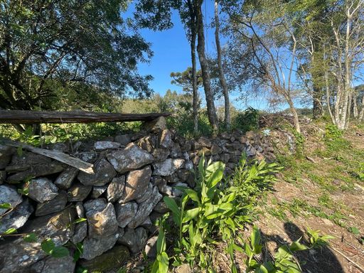 Muro de taipa antigo