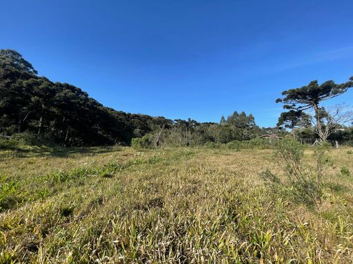Área plana