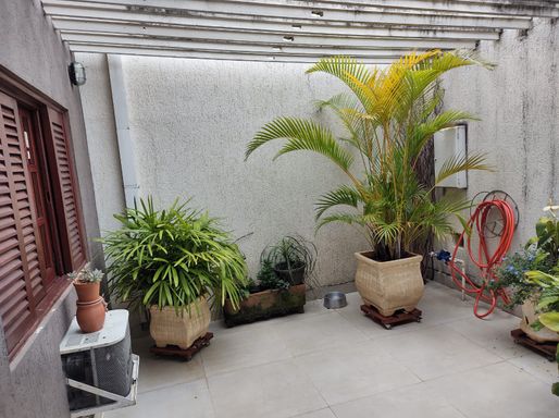 Area Externa