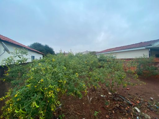 TERRENO