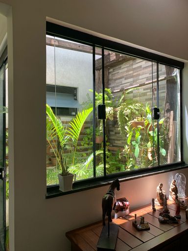 jardim
