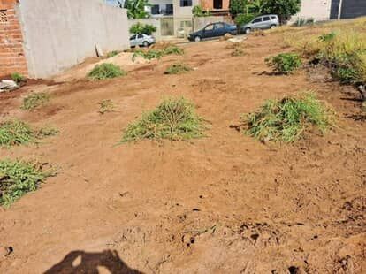 TERRENO