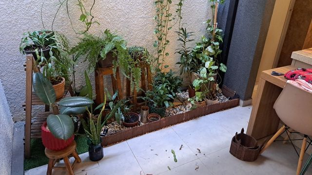 Jardim de Inverno