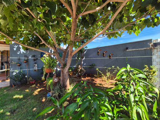 Jardim - Casa venda Jardim Duarte/ Lancaster