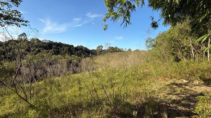 area p/plantio