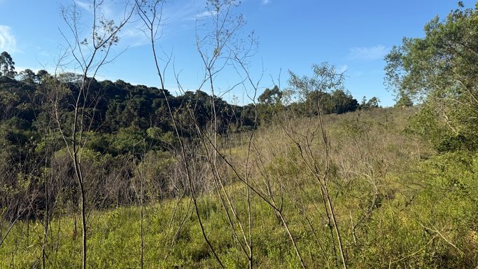 area p/plantio
