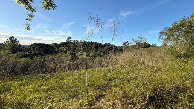 area p/plantio